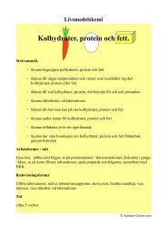 protein som energikälla protein som energikälla